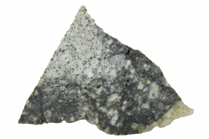 Polished Lunar Meteorite ( g) Slice - Aridal #360135